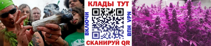 Где купить наркоту Чернушка Alpha PVP  Бутират  МЕФ  Амфетамин 