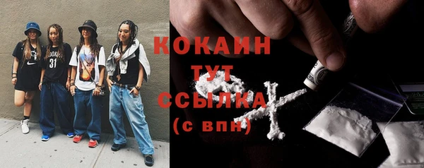 spice Алексин