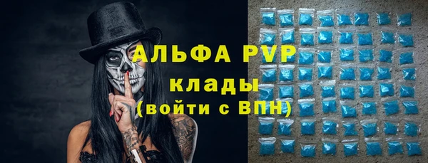 сатива Гусиноозёрск