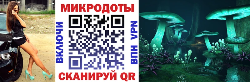 Галлюциногенные грибы Cubensis  что такое наркотик  kraken как войти  Чернушка 